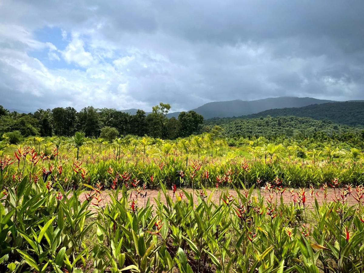 Отель The Postcard Hideaway, Netravali Wildlife Sanctuary, Goa Vichondrem Экстерьер фото