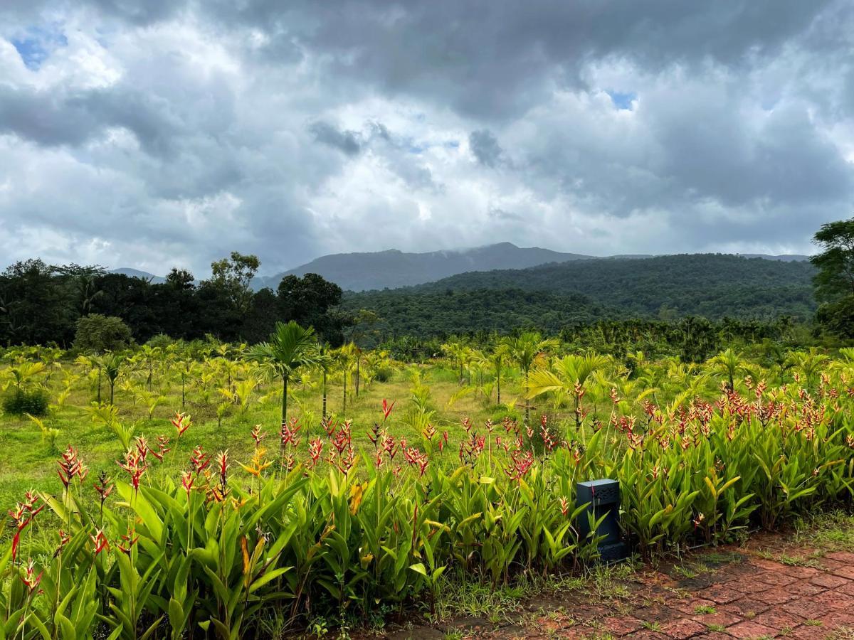 Отель The Postcard Hideaway, Netravali Wildlife Sanctuary, Goa Vichondrem Экстерьер фото